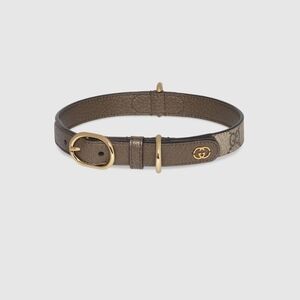Dark Brown Leather Dog Collar with Gold Buckle
